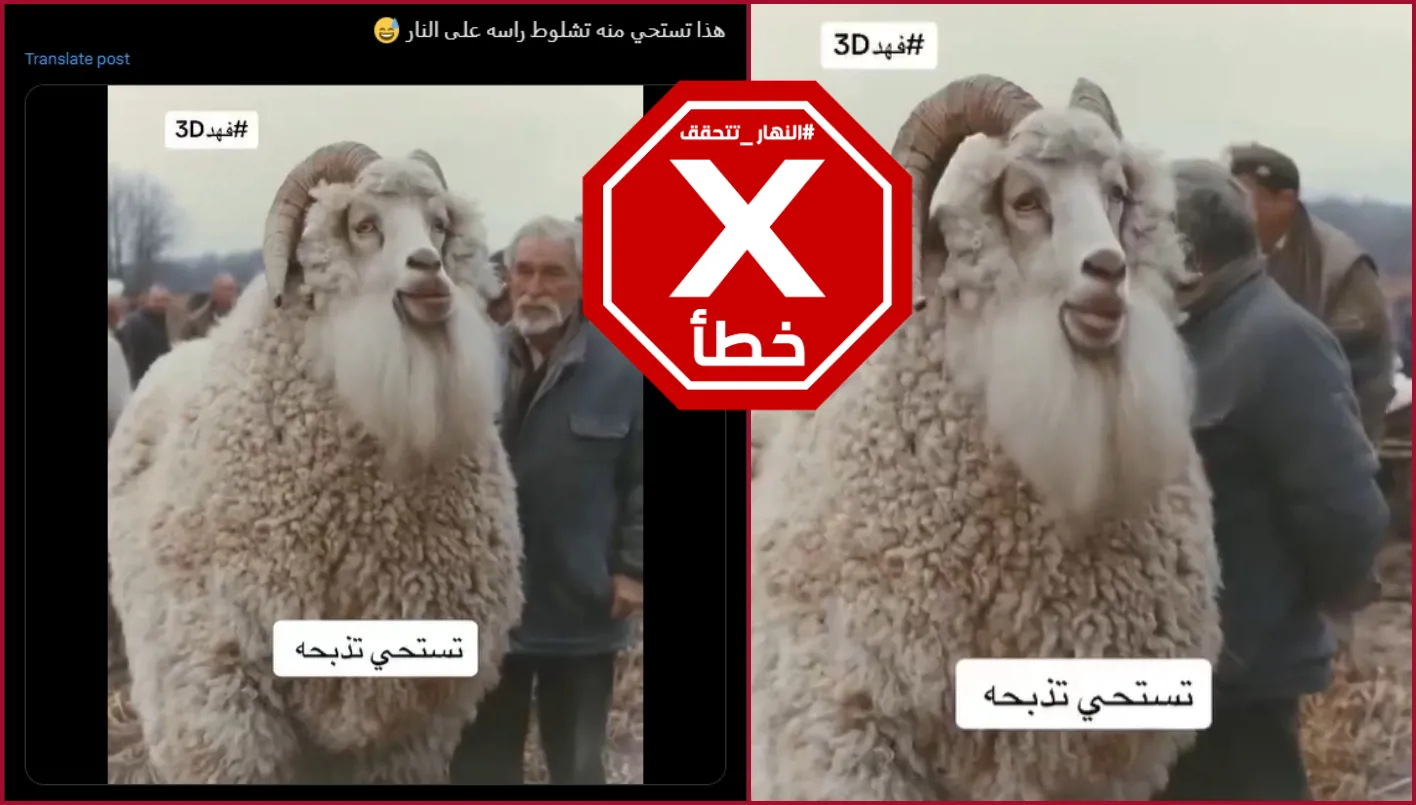 الماعز الضخمة في هذا الفيديو ليست حقيقية FactCheck#