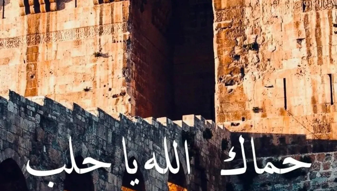 مشاهير سوريا يتفاعلون مع الأحداث المفاجئة… "حماكِ الله يا حلب"