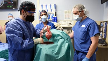 جراحون أميركيون ينجحون في زراعة قلب خنزير في إنسان (أ ف ب).