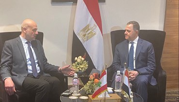 وزيرا الداخلية اللبناني والمصري.