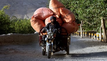 رجل أفغاني يقود عربة محملة بأكياس من الخشب الجاف في قندهار (2 حزيران 2022، أ ف ب). 