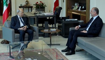لقاء رئيس الجمهوريّة ميشال عون مع رئيس مجلس النواب الياس بو صعب.