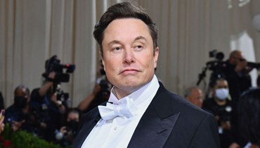 ellon musk