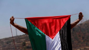 فتى فلسطيني يرفع علم بلاده (تعبيرية).