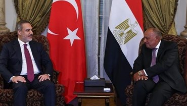 وزير الخارجية التركي ونظيره المصري.