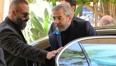 وزير الخارجية الإيراني بالإنابة علي باقري كَني (نبيل إسماعيل). 